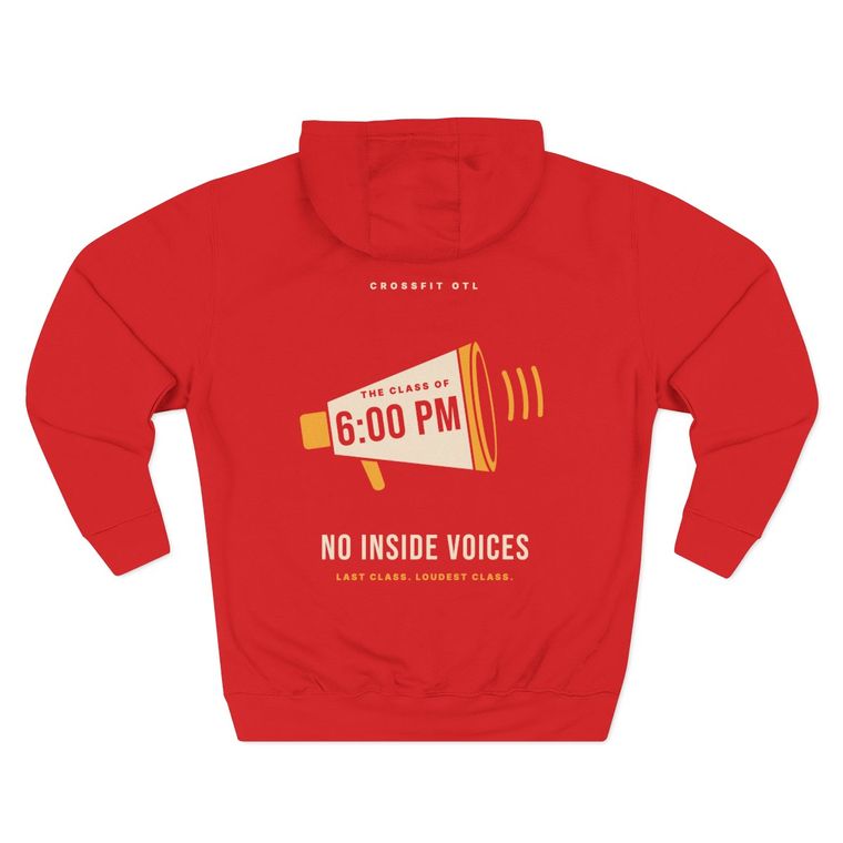 No Inside Voices hoodie, back view